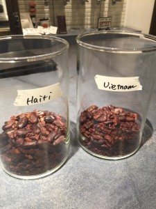 ハイチとベトナムのカカオ豆（焙煎済み）